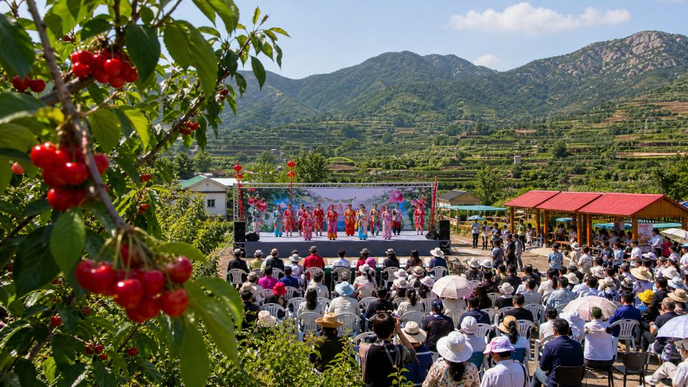海阳樱桃谷5月15日开季,采摘和村歌比赛怎么安排