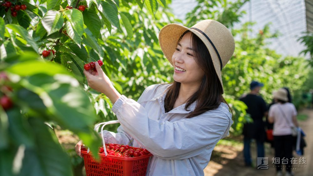 活动名额共20份