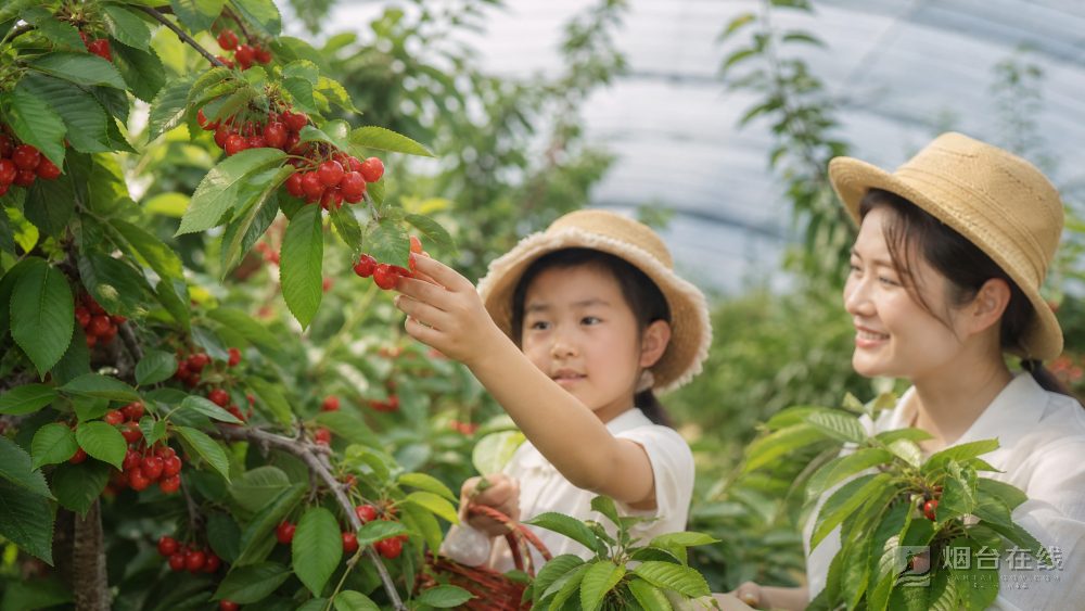 安排中的节点不少,出门前把确认信息和集合时间看清楚,会省去不少临时找路、