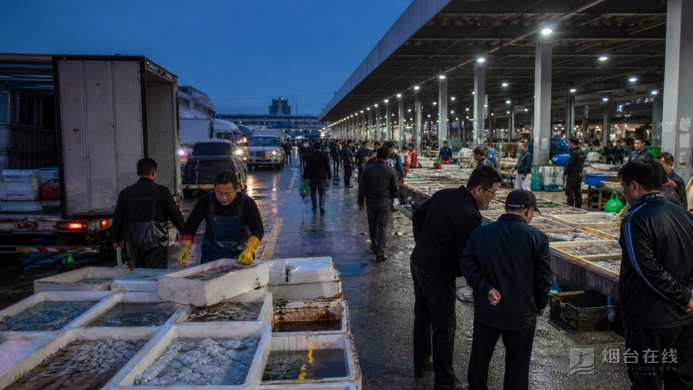 九田市场在芝罘区幸福北路,2013年由早年的环海农贸城搬迁升级而来