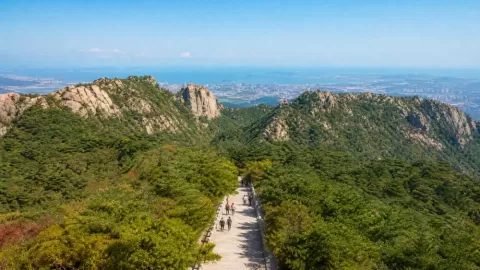 烟台罗山国家森林公园怎么玩？先别把塔山登山赛当成攻略（节庆活动）