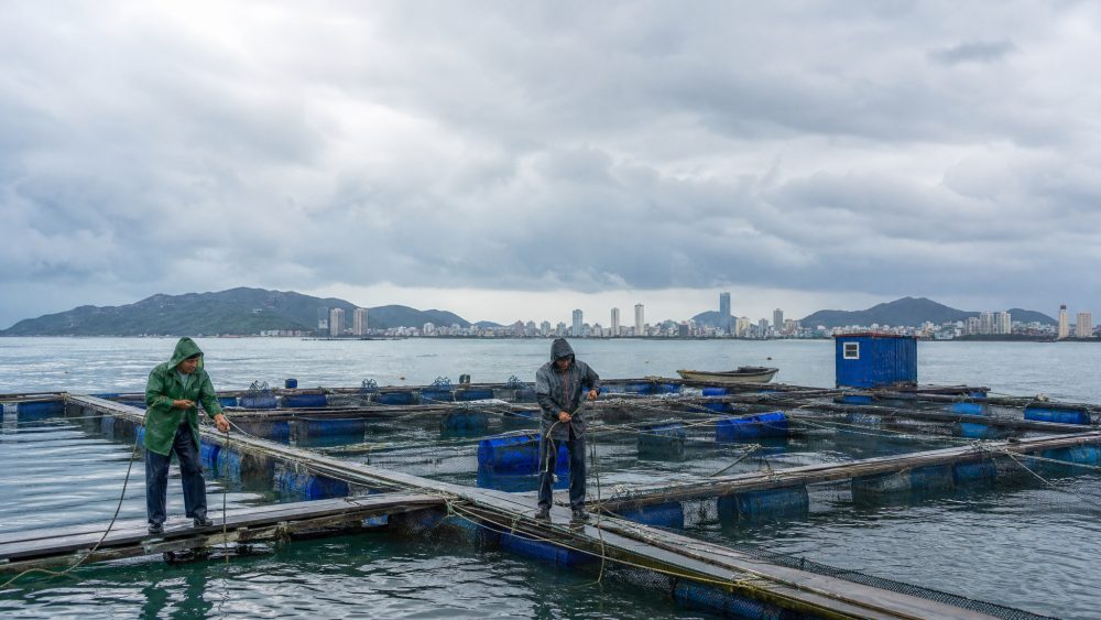 烟台10月17日至18日有明显降雨大风，沿海养殖户需提前防范