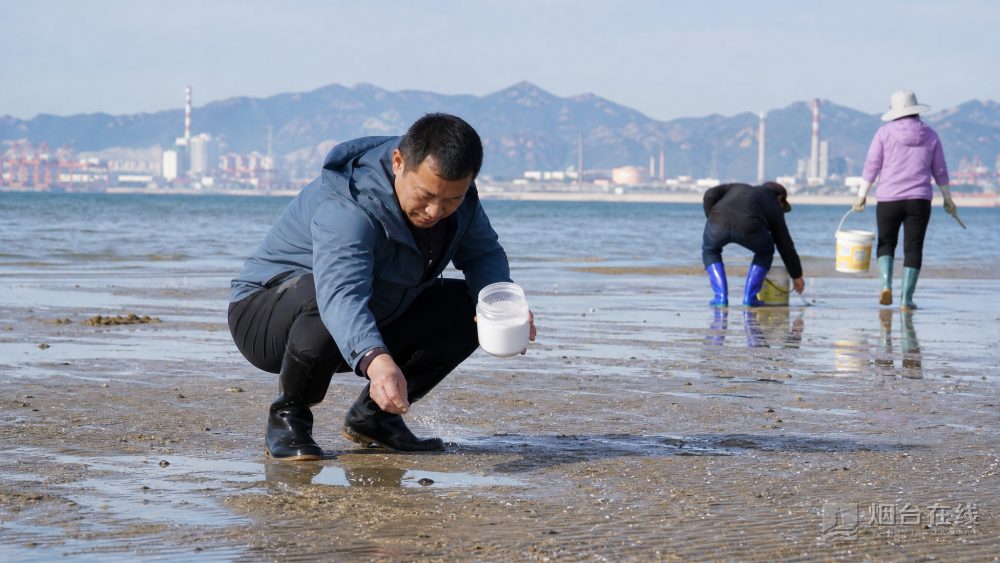 在夹河口附近,赶海的人可以先留意沙滩上的小孔
