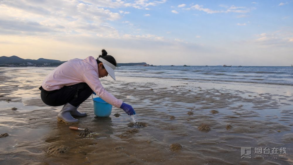 带孩子的家庭,可以把幸福湾活力海岸列入考虑